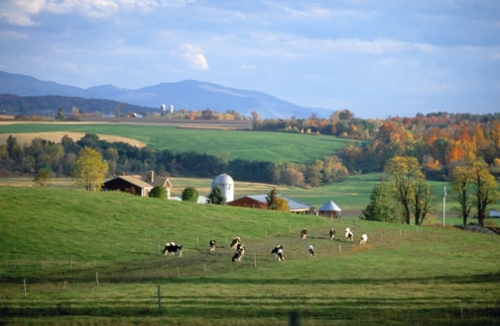 Save the Date: 22nd Annual NODPA Field Days, Middlebury, VT September 29 & 30, 2022