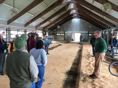 Inside the dairy barn with Farm Manager, Glenn Yardley
