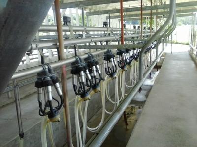  - Milking Parlor, Holterholm Farms