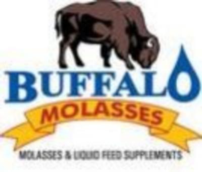 buffalo molasses