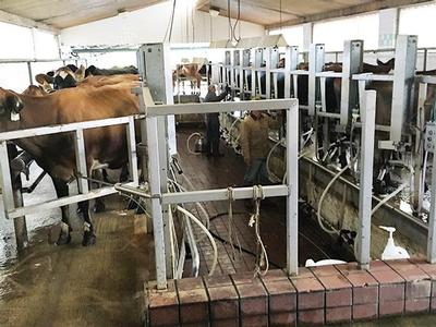 Hamilton Heights Farm tour, milking parlor