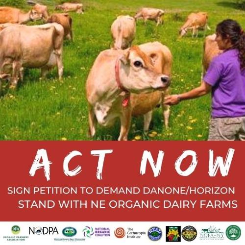 FBHorizonDanone Petition ACT NOW (2)_small