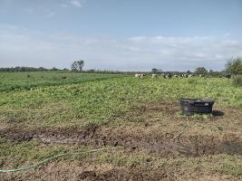 Image 2 Wake of pic thumb