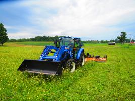 Pruning or clipping pastures is one way of keeping weeds at bay_thumb