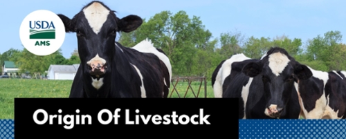 The Long Awaited Origin of Livestock Rule is Published
