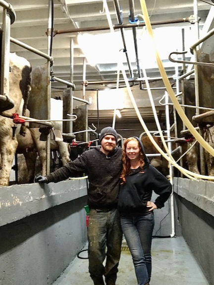 Jumping into Organic Dairy Farming: Bo Lait Farm, Washington, Maine Owned and operated by Conor and Alexis MacDonald