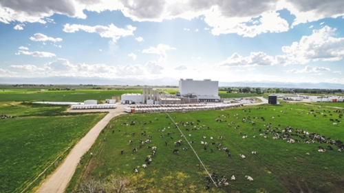 The tale of two cold-storage warehouses: automating Aurora Organic Dairy
