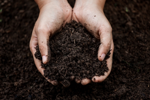ORGANIC AGRICULTURE IS SOIL-BASED: A Fundamental Principle Underlying Organic Crop Certification