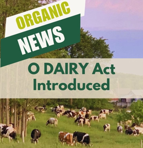 The O DAIRY ACT – how it was made and a summary of what it mandates