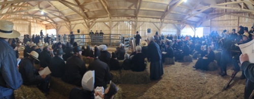 The Leatherstocking Cattle Exchange: The inaugural public auction dedicated to the nurturing and advancement of Grass-based dairy cow genetics, Canastota, NY, Friday, November 15, 2024