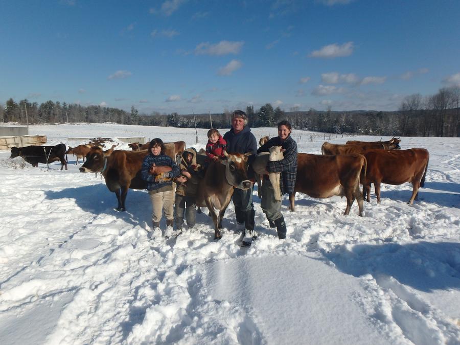 Misty Brook Farm Katia And Brendan Holmes Albion Maine Northeast Organic Dairy Producers Alliance