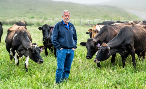 FEATURED FARM: Straus Dairy Farm & Straus Family Creamery: Albert Straus, farm owner and operator, And founder of the Straus Family Creamery, Tomales, California