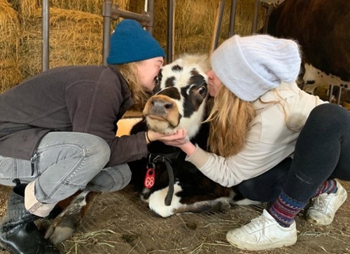 FEATURED FARM: Find the scale that works for you: Kiss the Cow Farm, Barnard, Vermont, owned and operated by Randy and Lisa Robar