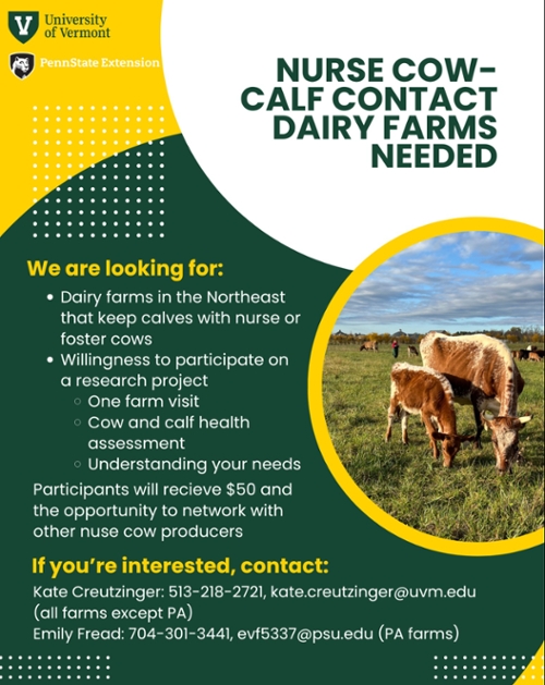 Nurse Cow-Calf Contact: Dairy Farms Needed
