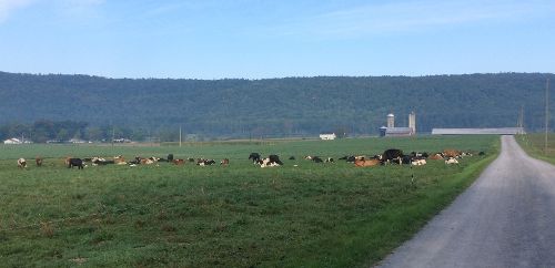 Friday's Farm Tour: Saddlers Run Farm, Allensville, PA