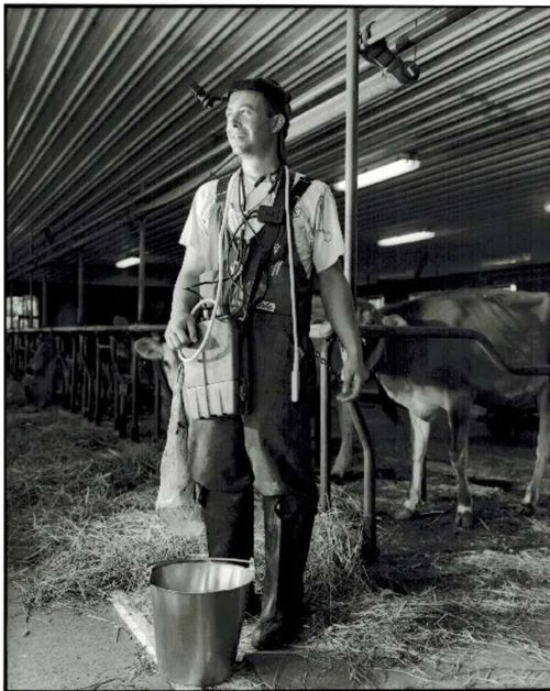 Simon Alexander, DVM